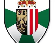 Logo OÖ Bundesheer